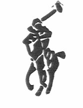 랄프로렌 폴로 등록 상표