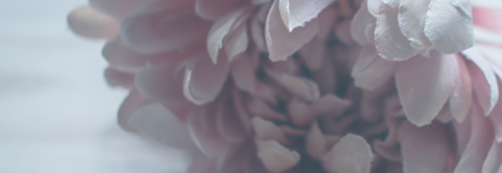 빚 상속 어떻게 막을까요?